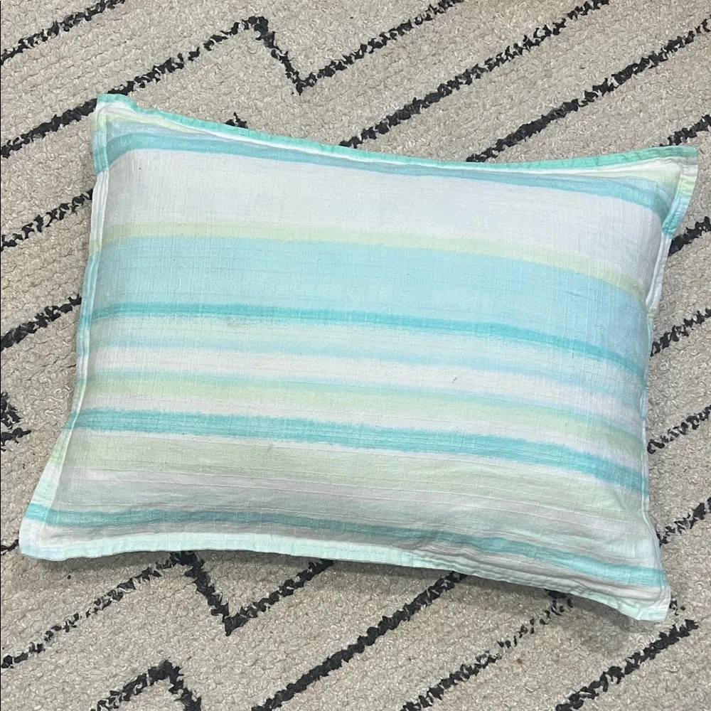 Liz Claiborne Throw Pillow